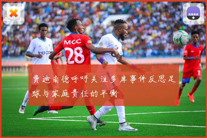 费迪南德呼吁关注多库事件反思足球与家庭责任的平衡